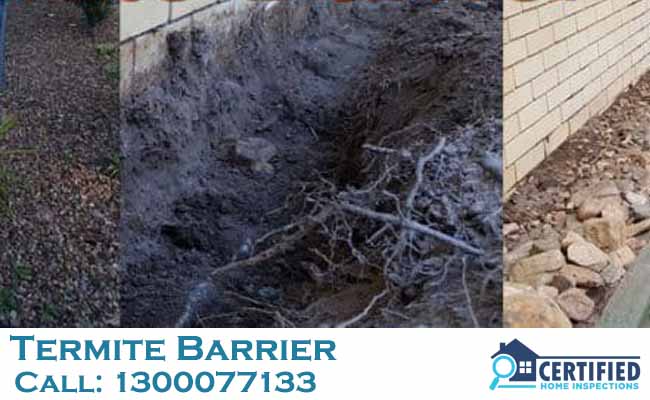 Termite Barriers Natural Bridge