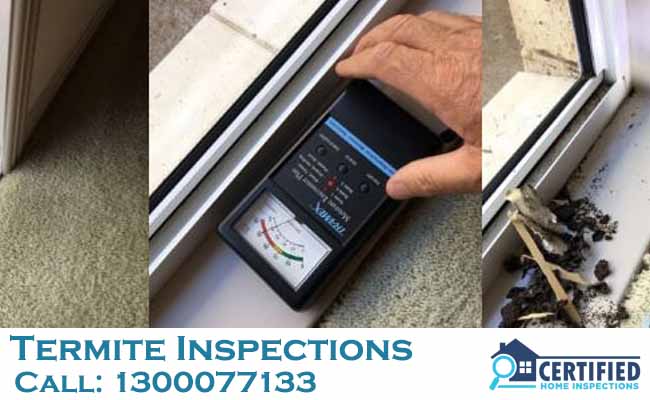 Termite Inspections Parkwood