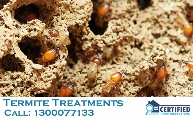 Termite Treatments Clear Island Waters