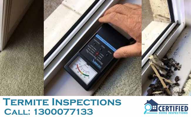 Termite Inspections Gilston