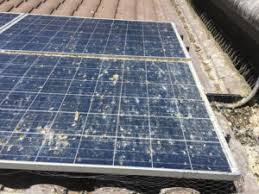Bird proofing and Control