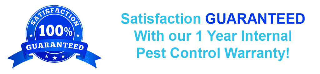 pest control treatment