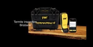 Termite inspections and Pest Control Brisbane-Gold Coast-Ipswich